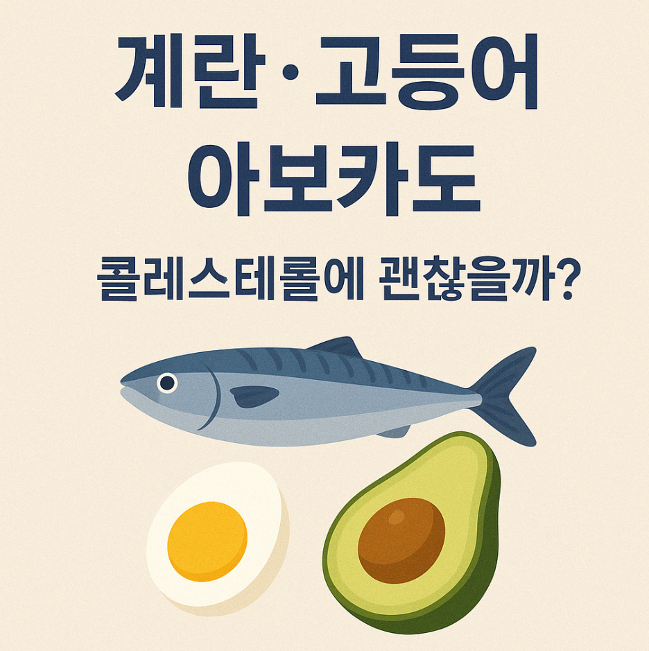 콜레스테롤
