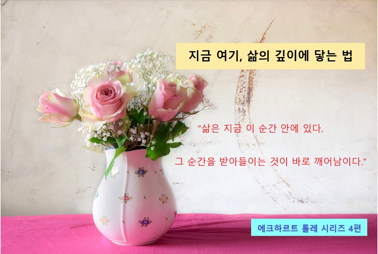 지금 여기, 삶의 깊이, 에크하르트 톨레 관련 이미지