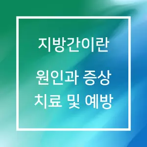지방간이란 원인과 증상, 치료 및 예방