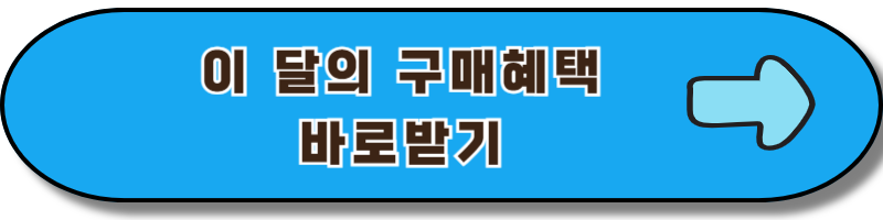 뉴 르노 그랑 콜레오스
