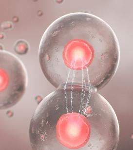 신라젠 주가 현황과 주가 전망