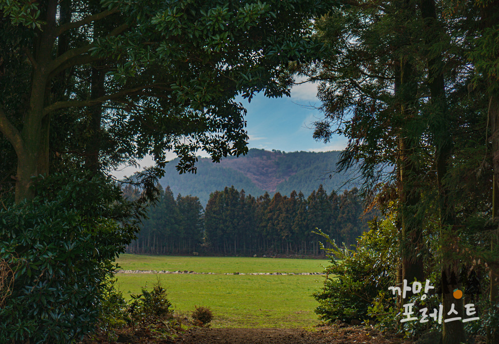 송당무끈모루 포토존