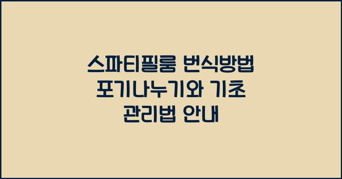 스파티필룸 번식방법 포기나누기