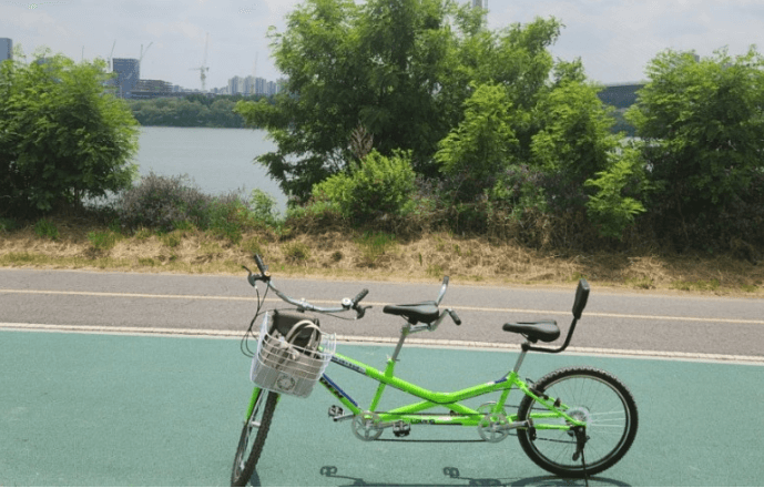 구리코스모스축제-한강예술제-자전거대여 빌려타기-근처맛집-2023년.총정리