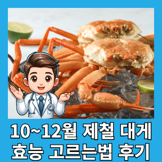 10~12월 제철 대게 효능 부작용 고르는 법 대천항 대게 구매 후기