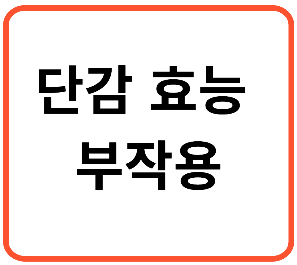 단감 효능 부작용