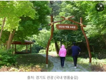 걷기좋은 명품 숲길 30선 숨겨진 코스_27