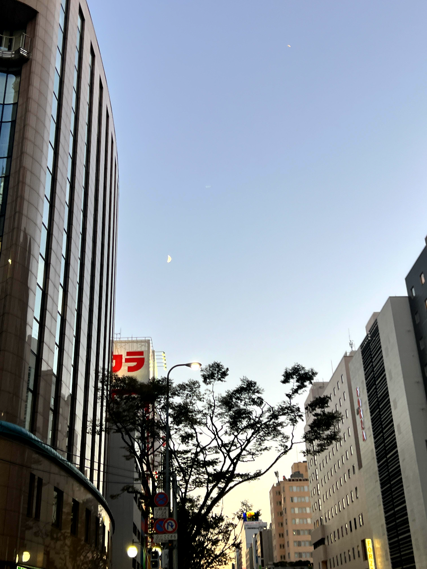 하늘에 달이 보이기 시작합니다.