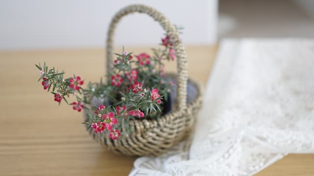 베트남의 전통 라탄 공예: 지속 가능한 가구의 미래