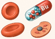 빈혈에 좋은 영양제