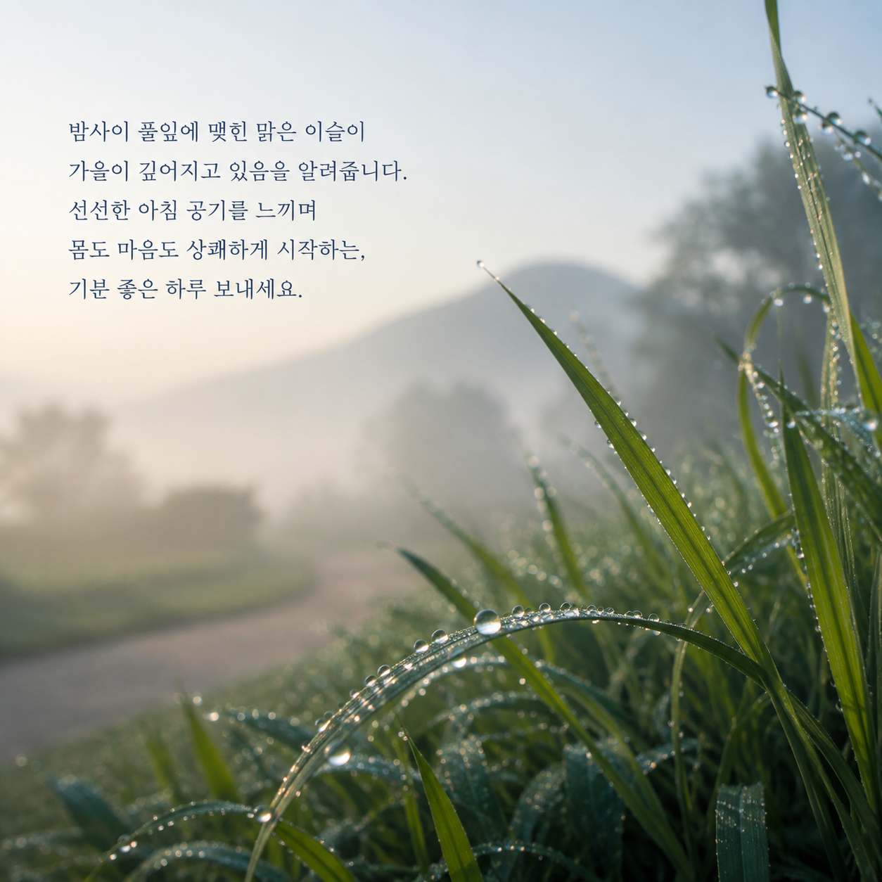 밤사이 풀잎에 맺힌 맑은 이슬과 선선한 아침을 전하는 백로 인사말 이미지