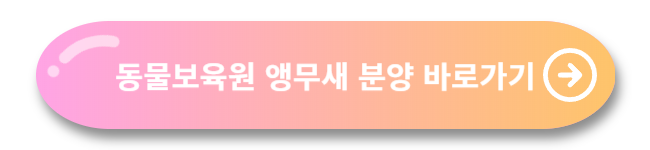앵무새 무료분양