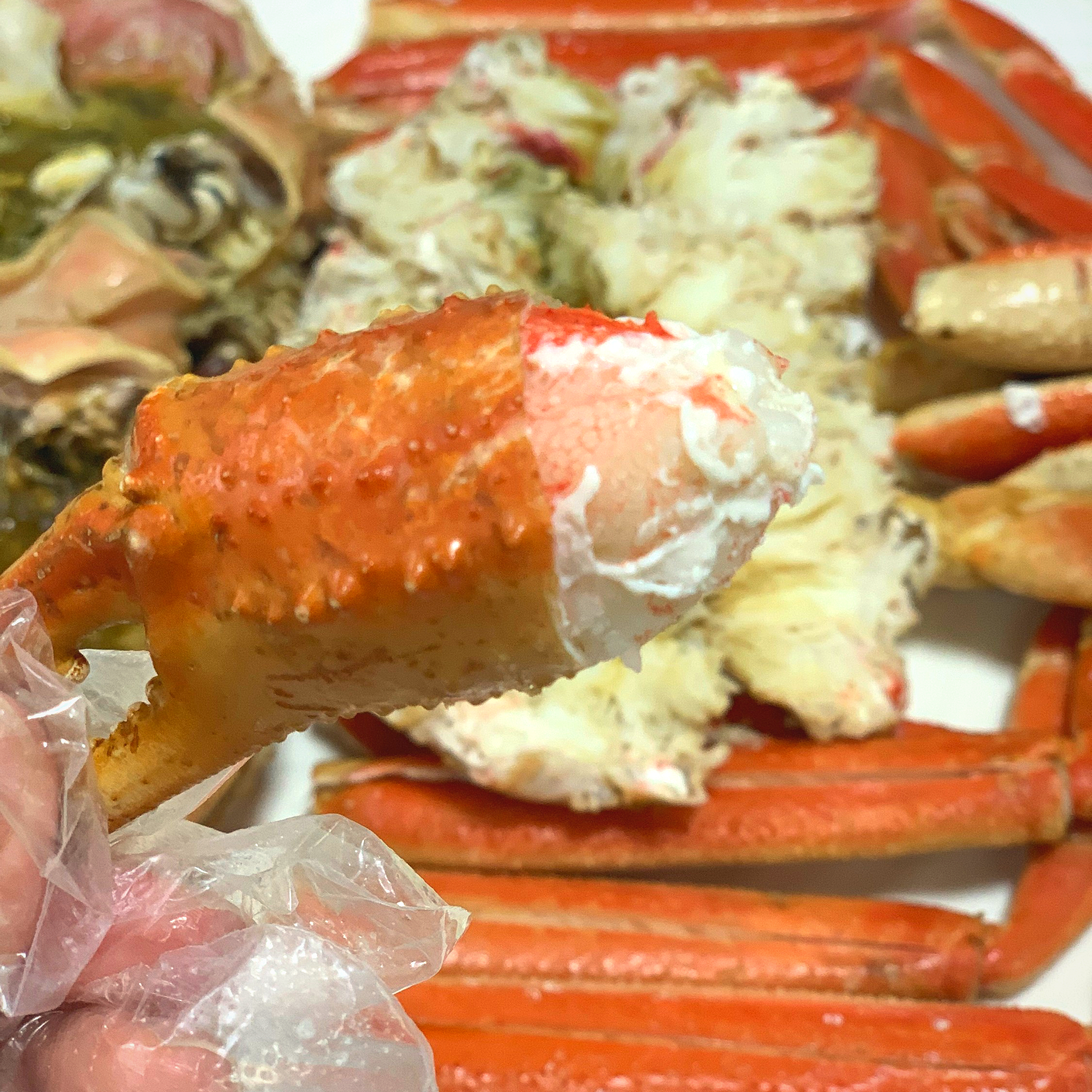 속초 대게 맛집