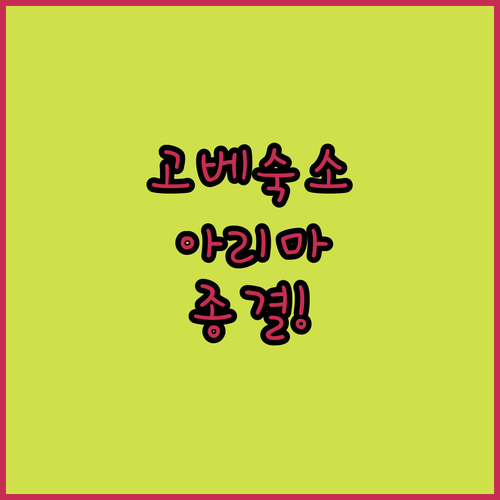 고베 산노미야역 근처 인기 호텔부터 ..
