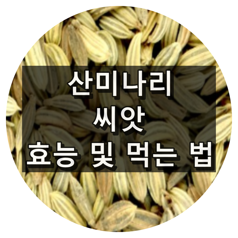 산미나리 씨앗 효능과 먹는 법