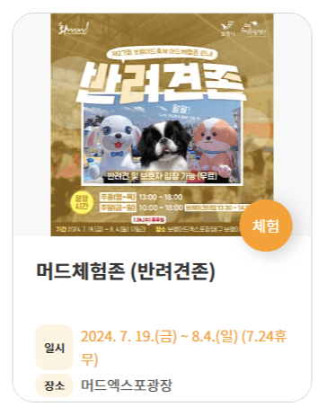 2024 보령 머드축제 일정 입장료 초청가수