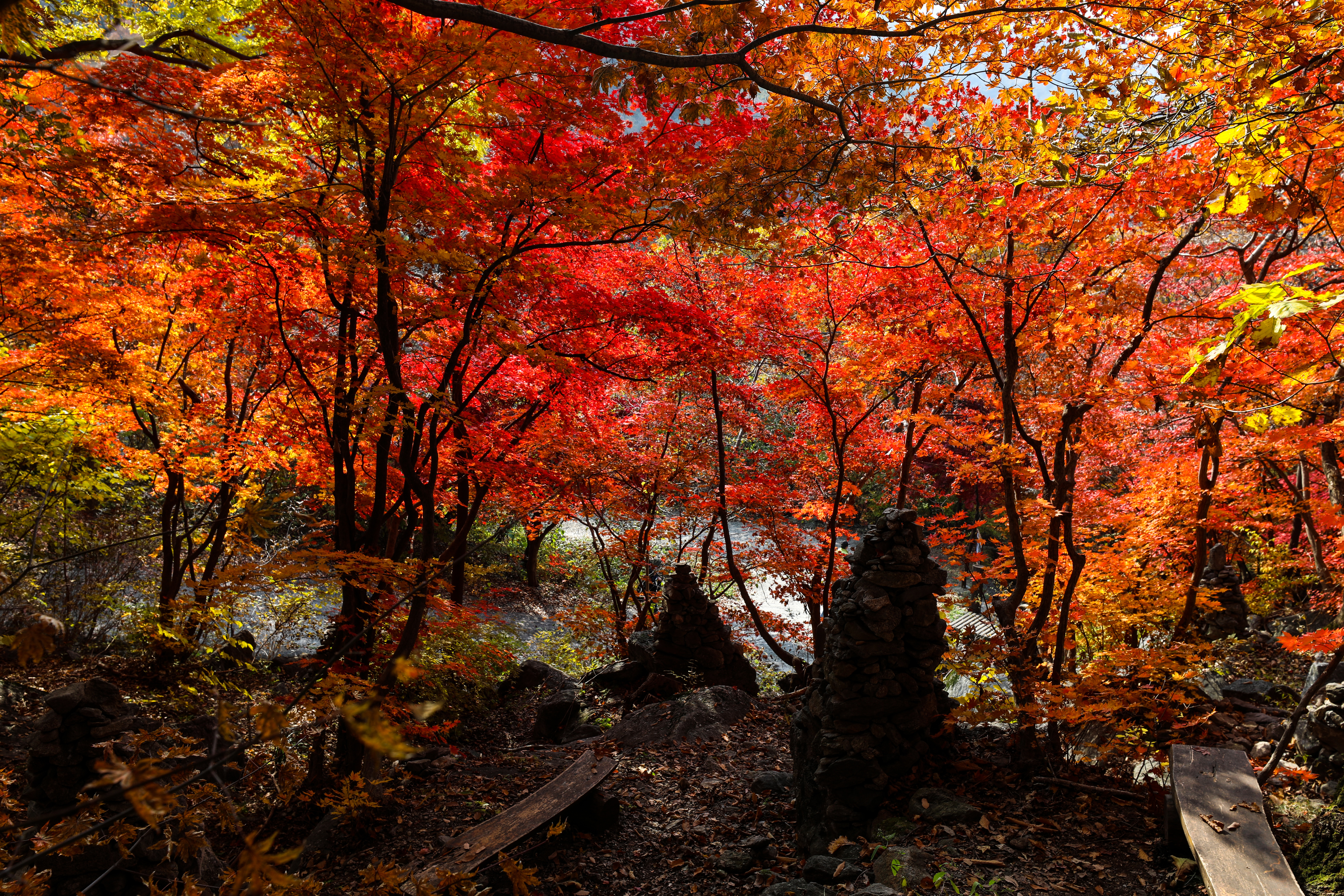 축령산자연휴양림
