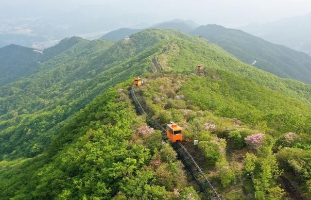 생생정보 산양삼 문의, 지리산, 용추폭포, 가족 여행, 데이트 코스 가볼만한 곳, 휴양 마을, 숙소 추천 문의 연락처 소개 방송
