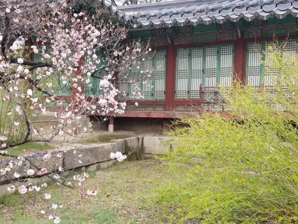 창경궁 무료관람 /창경궁 가는 방법 /창경궁 명소