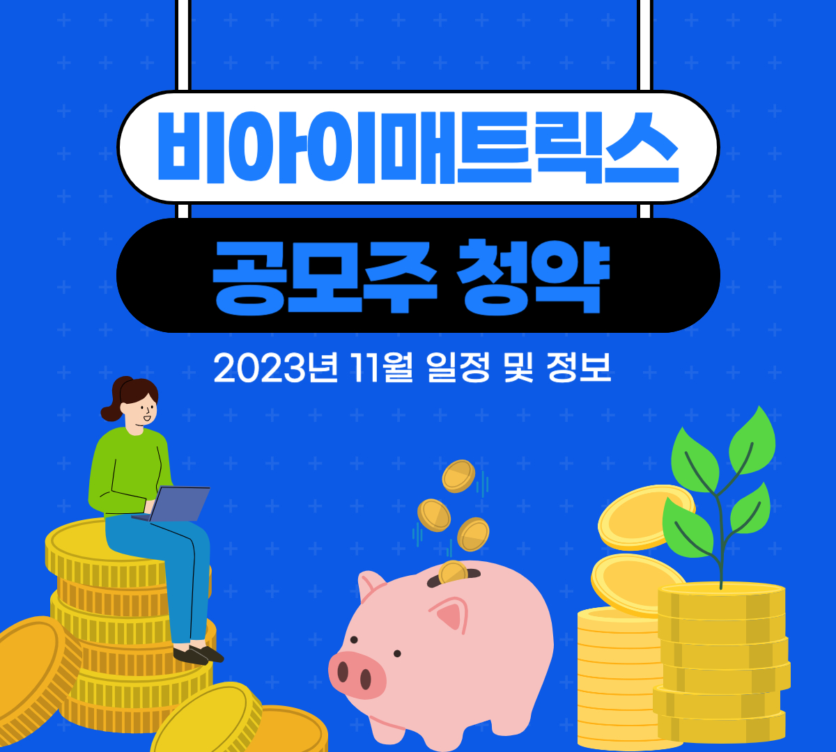 비아이매트릭스 공모주 청약