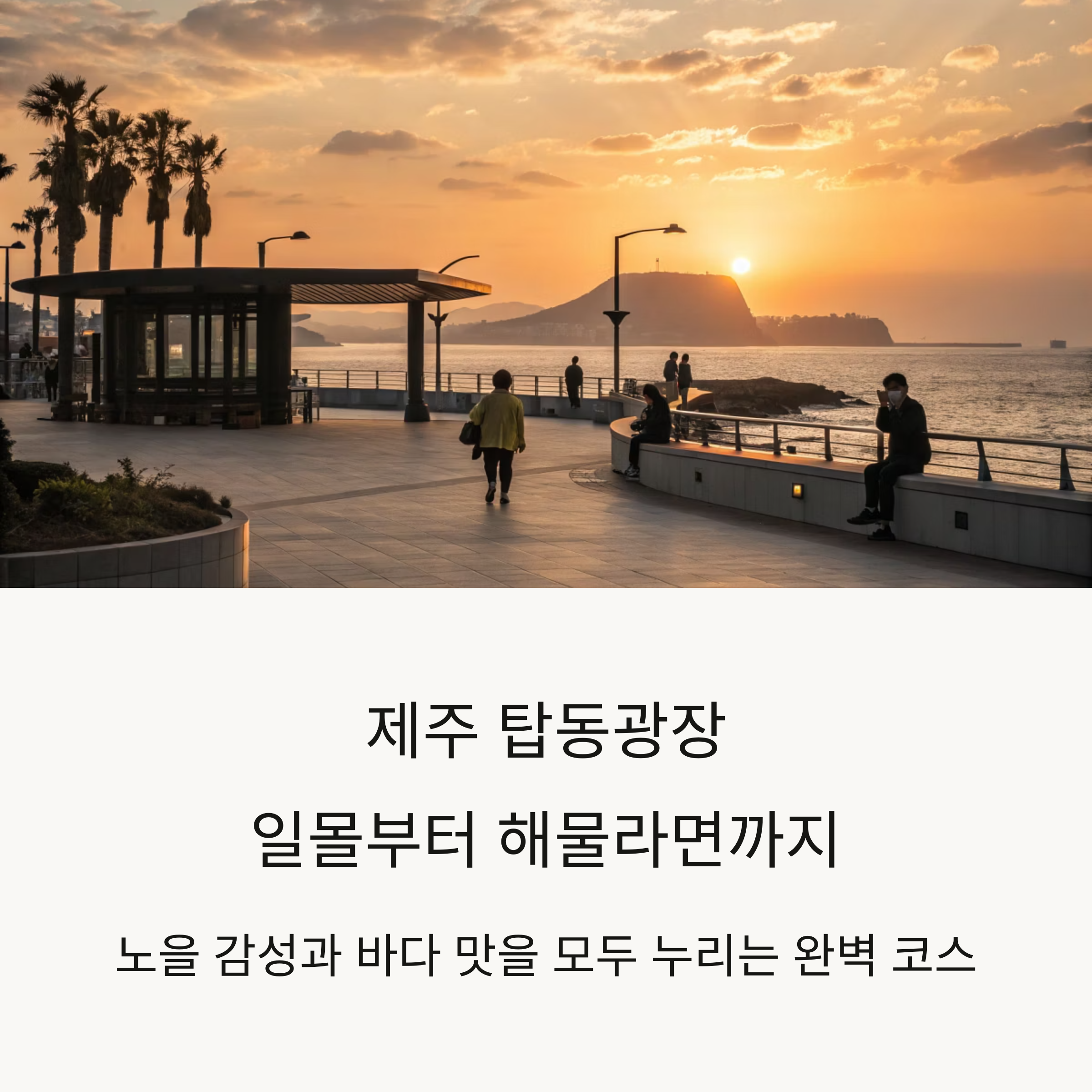 제주 탑골광장 코스