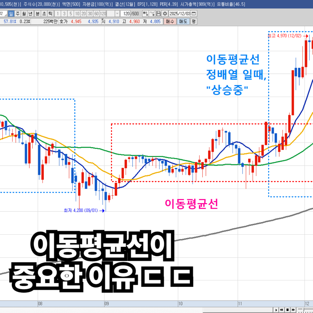주식 차트 보는 법: 초보 투자자를 위한 필수 가이드