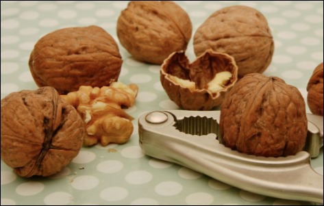 호두 효능 07