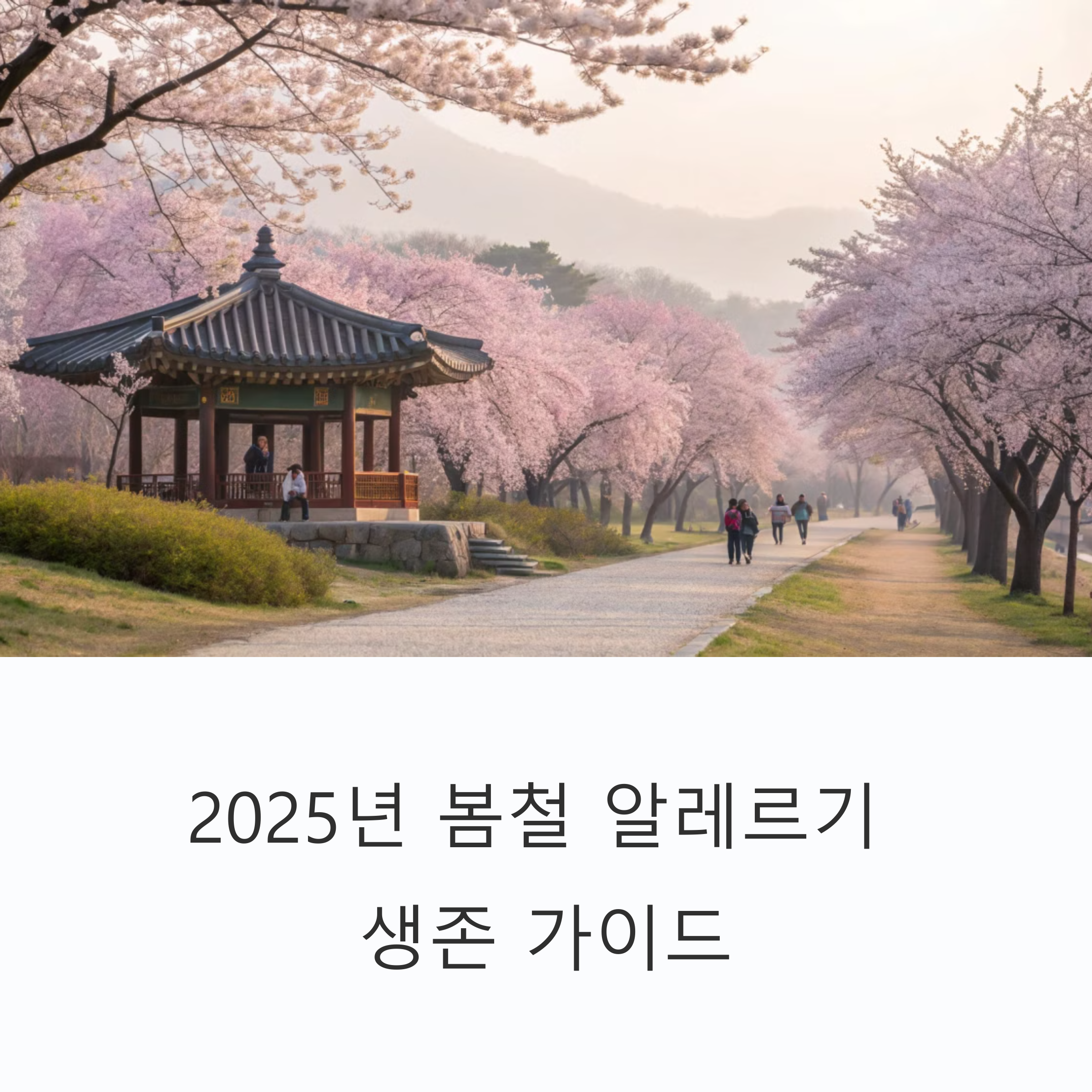 봄철 알레르기 증상 완화법, 피부와 코가 평화로워지는 비밀