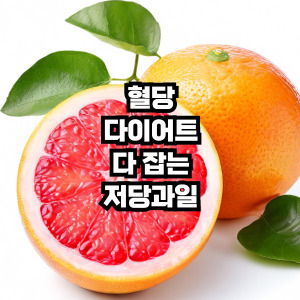 저당과일추천