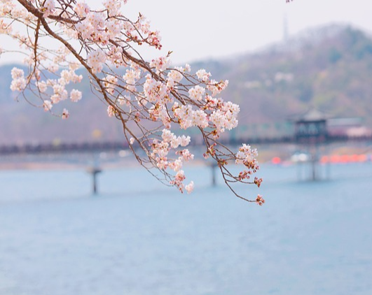 안동시 2026년 동아시아 문화도시 선정 02