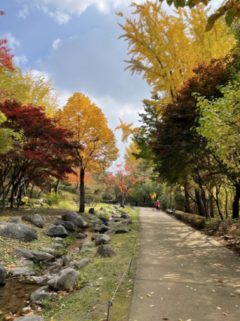 그랜드하얏트호텔-정문에서-길만건너면-만날수있는-공원