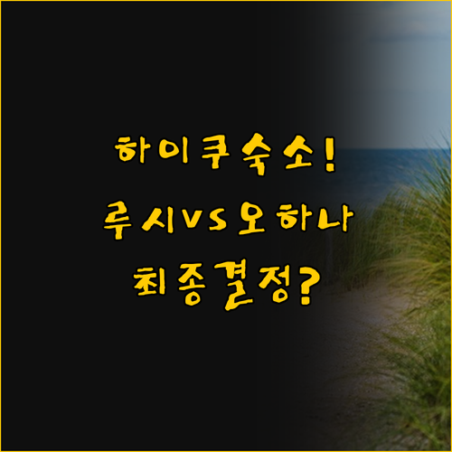 하이쿠 숙소 추천 루시 팬 오하나와 ..