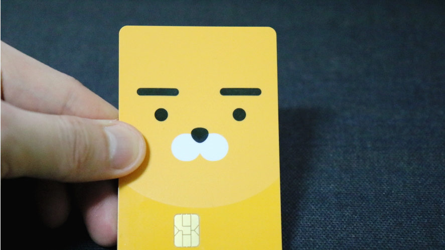 카카오페이 카드