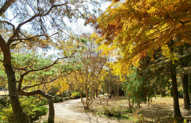 진주 수목원