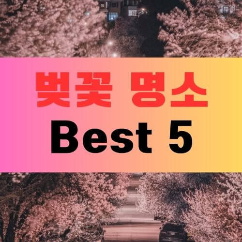 서울 벚꽃 축제 일정 및 명소