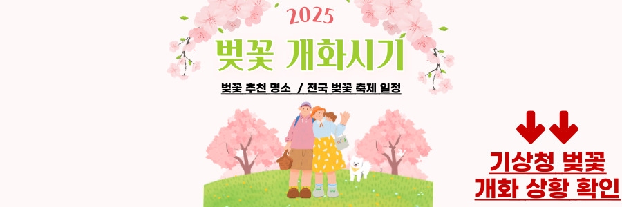 2025 벚꽃 개화시기