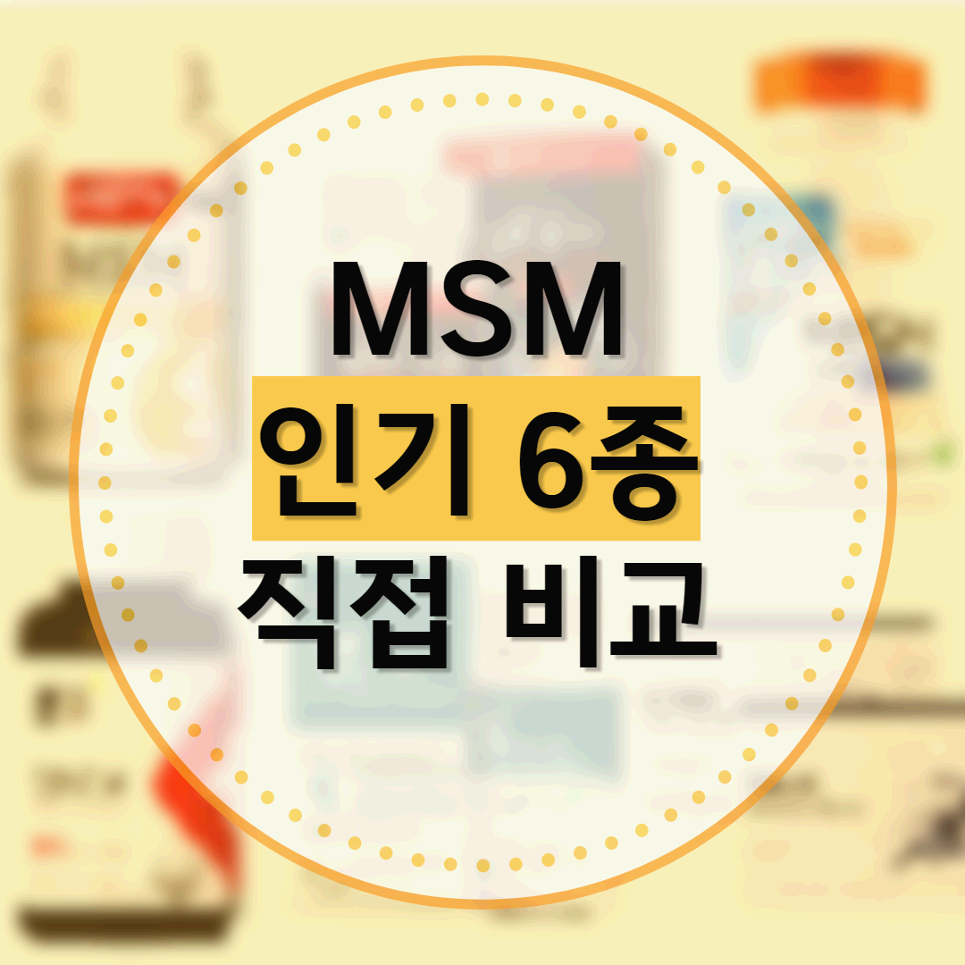 msm 인기 6종 직접 비교 이미지 썸네일