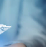 알부민 많은 음식