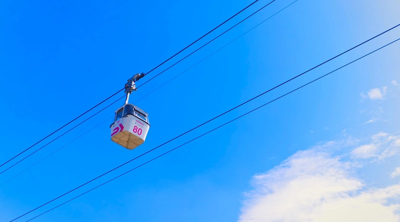 산업용 동적 케이블의 활용 분야