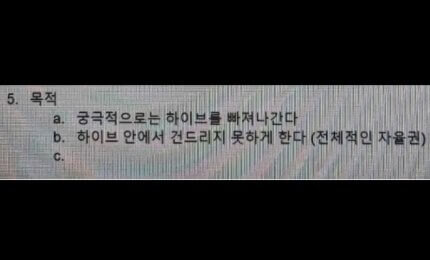 하이브