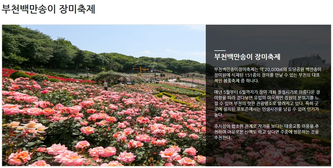 장미축제 3곳 추천