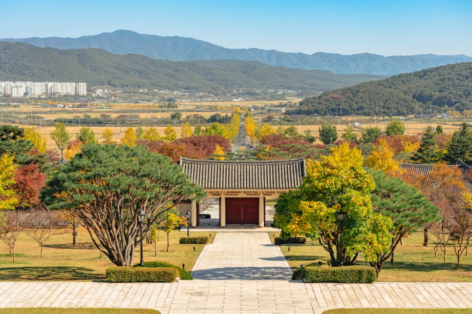 가을단풍드라이브