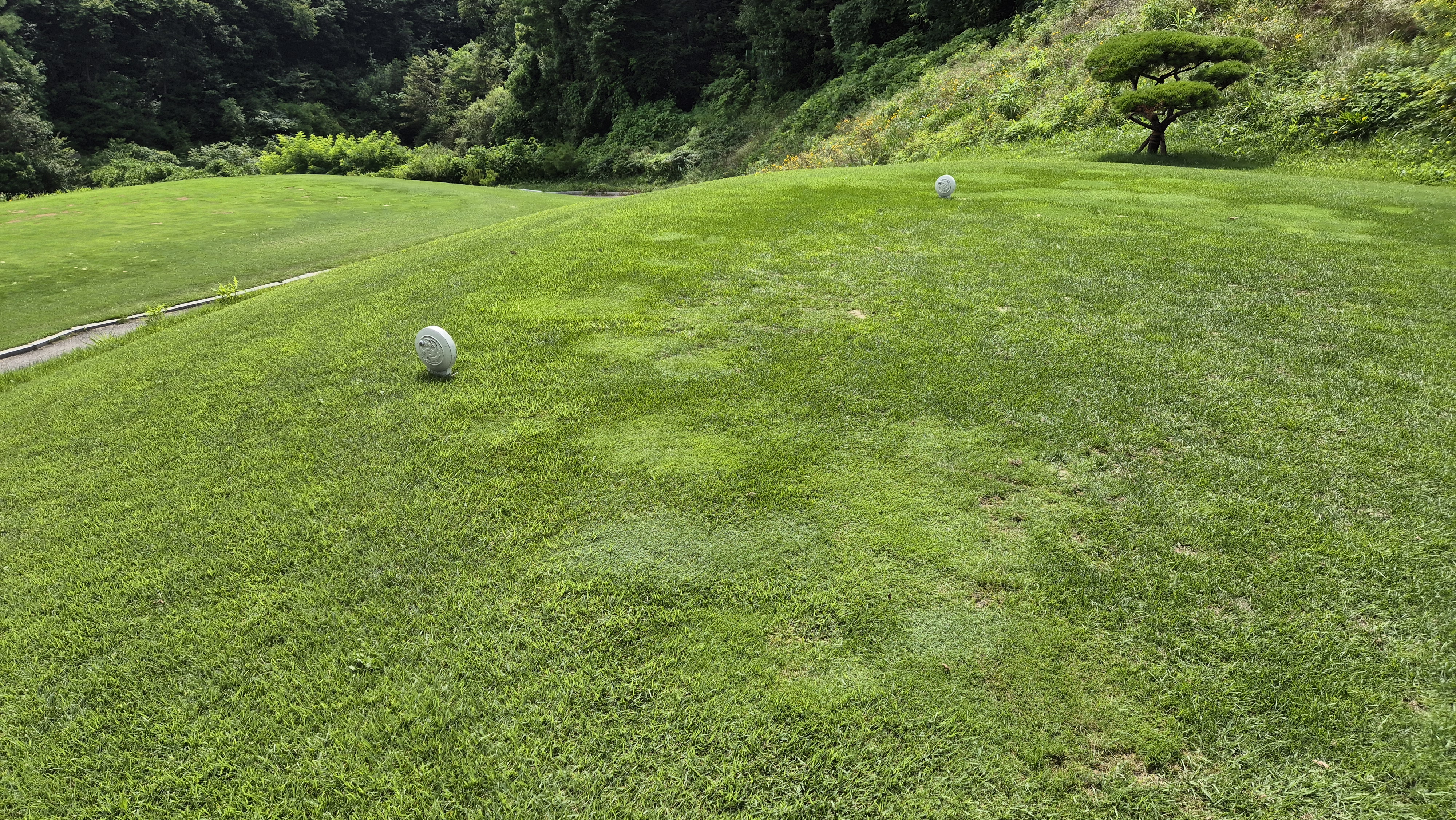 참밸리cc 라운드 후기
