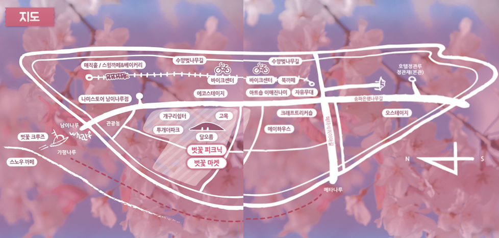 남이섬 벚꽃축제