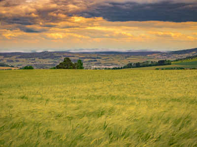 농지연금 가입조건 수령액 계산 총정리