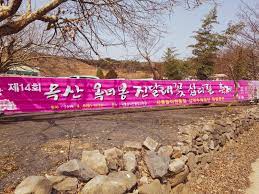 제 15회 옥산 옥려봉 진달래꽃 십리길 축제 기본일정과 프로그램 소개