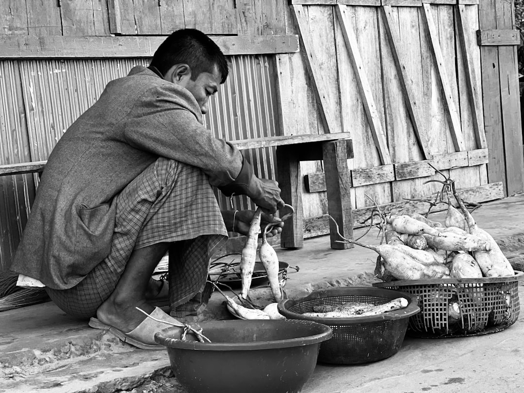 Basic livelihood assistance