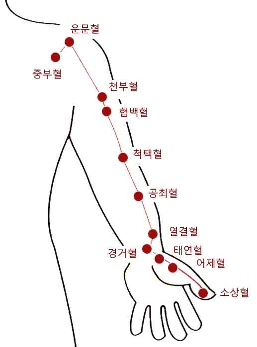 수태음폐경 협백혈