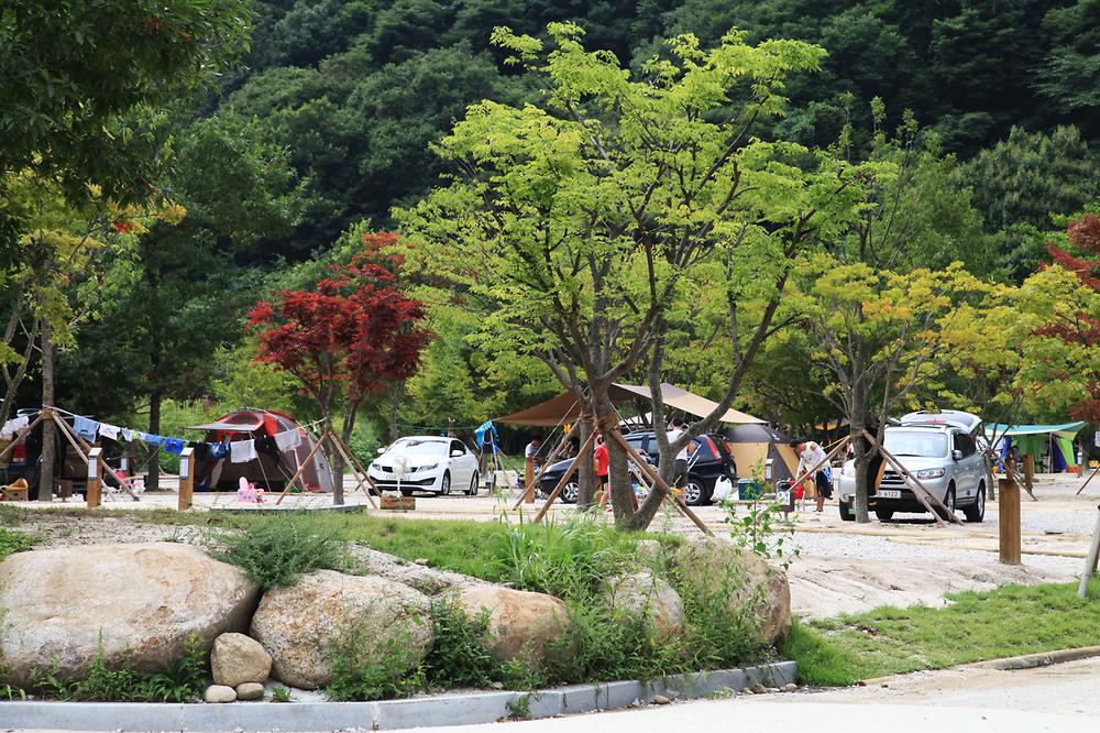 지리산 달궁자동차야영장

전북 남원시 산내면 덕동리 274