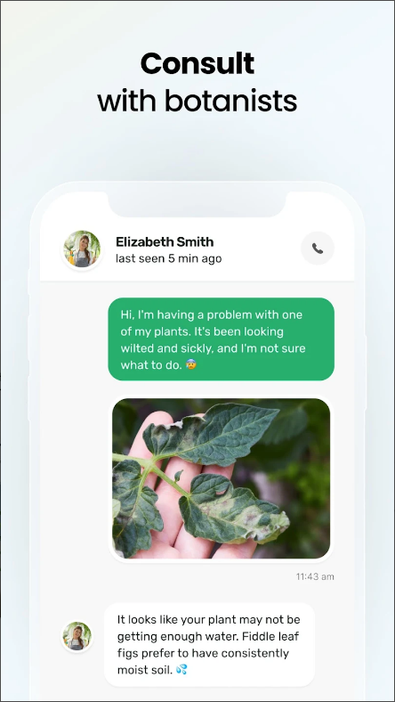 식물 식별(Plant App) 어플, AI 식물 식별 하기, 사진으로 식물 이름 찾기